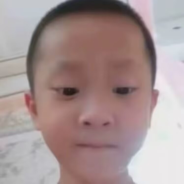 Memesense【参数】